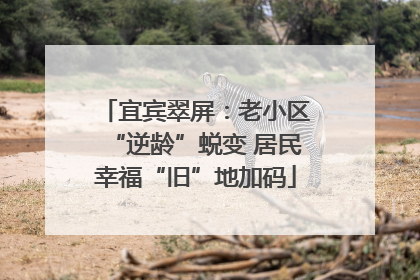 宜宾翠屏：老小区“逆龄”蜕变 居民幸福“旧”地加码