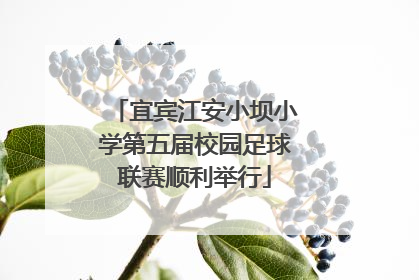 宜宾江安小坝小学第五届校园足球联赛顺利举行