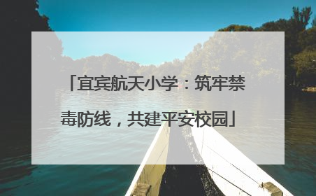 宜宾航天小学：筑牢禁毒防线，共建平安校园