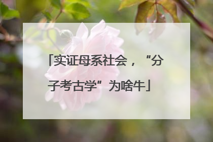 实证母系社会，“分子考古学”为啥牛