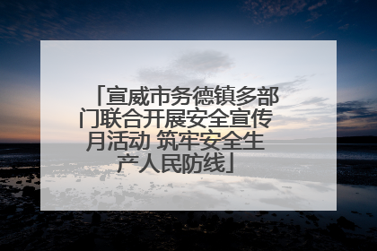 宣威市务德镇多部门联合开展安全宣传月活动 筑牢安全生产人民防线