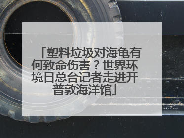 塑料垃圾对海龟有何致命伤害？世界环境日总台记者走进开普敦海洋馆