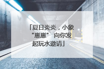 夏日炎炎，小象“崽崽” 向你发起玩水邀请