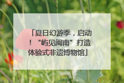 夏日幻游季，启动！“屿见闽南”打造体验式非遗博物馆