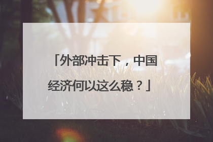 外部冲击下，中国经济何以这么稳？