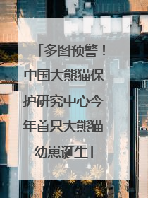 多图预警！中国大熊猫保护研究中心今年首只大熊猫幼崽诞生