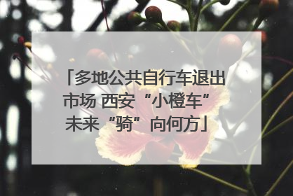 多地公共自行车退出市场 西安“小橙车”未来“骑”向何方