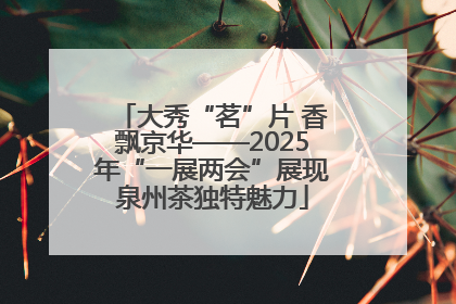 大秀“茗”片 香飘京华——2025年“一展两会”展现泉州茶独特魅力