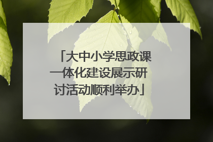 大中小学思政课一体化建设展示研讨活动顺利举办