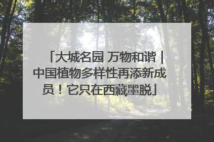 大城名园 万物和谐｜中国植物多样性再添新成员！它只在西藏墨脱