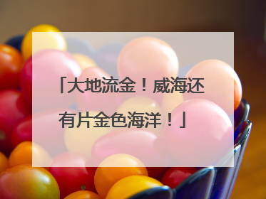 大地流金！威海还有片金色海洋！