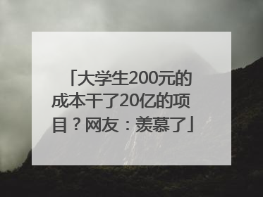 大学生200元的成本干了20亿的项目？网友：羡慕了