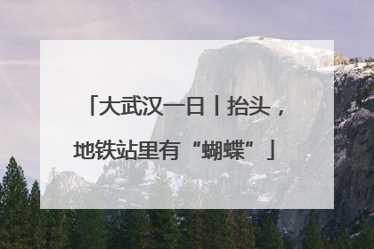 大武汉一日丨抬头，地铁站里有“蝴蝶”
