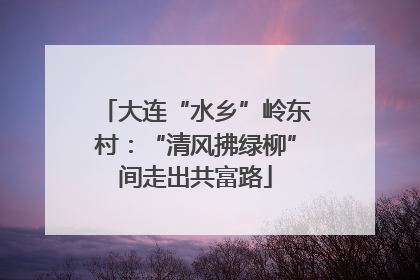 大连“水乡”岭东村：“清风拂绿柳”间走出共富路