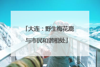大连：野生梅花鹿与市民和谐相处