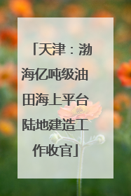 天津：渤海亿吨级油田海上平台陆地建造工作收官