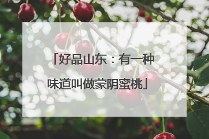 好品山东：有一种味道叫做蒙阴蜜桃