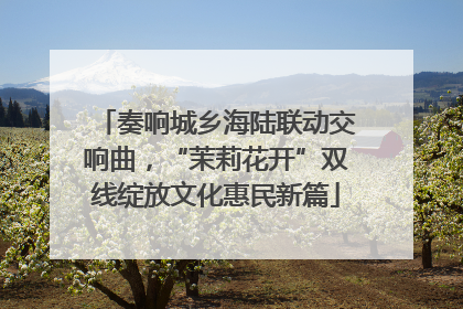 奏响城乡海陆联动交响曲，“茉莉花开”双线绽放文化惠民新篇