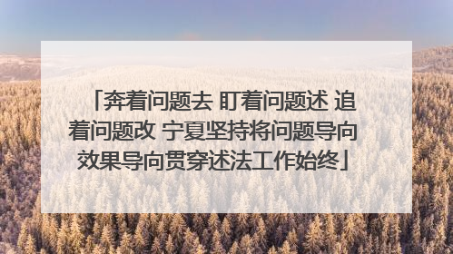 奔着问题去 盯着问题述 追着问题改 宁夏坚持将问题导向效果导向贯穿述法工作始终