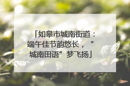 如皋市城南街道：端午佳节韵悠长，“城南田语”梦飞扬