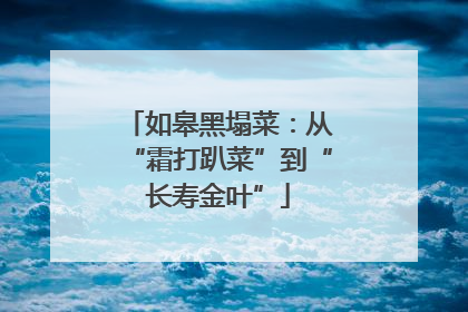 如皋黑塌菜：从“霜打趴菜”到“长寿金叶”
