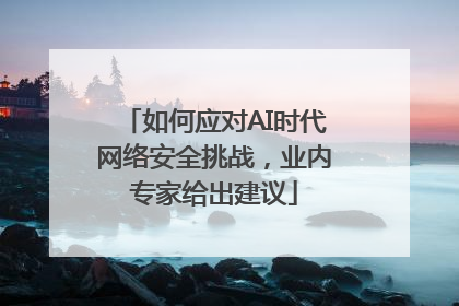 如何应对AI时代网络安全挑战，业内专家给出建议