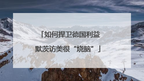 如何捍卫德国利益 默茨访美很“烧脑”