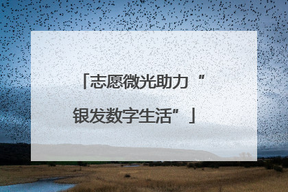 志愿微光助力“银发数字生活”