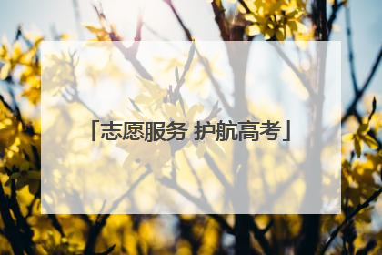 志愿服务 护航高考