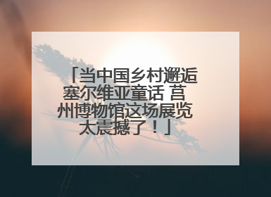 当中国乡村邂逅塞尔维亚童话 莒州博物馆这场展览太震撼了！