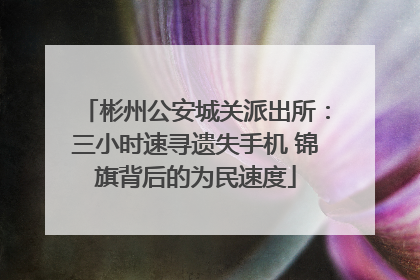 彬州公安城关派出所：三小时速寻遗失手机 锦旗背后的为民速度