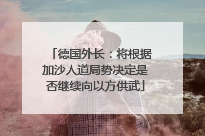 德国外长：将根据加沙人道局势决定是否继续向以方供武