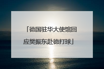 德国驻华大使馆回应樊振东赴德打球