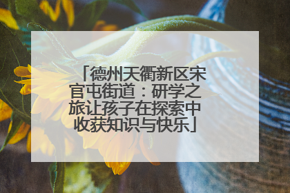 德州天衢新区宋官屯街道：研学之旅让孩子在探索中收获知识与快乐