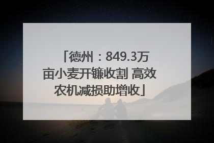 德州：849.3万亩小麦开镰收割 高效农机减损助增收