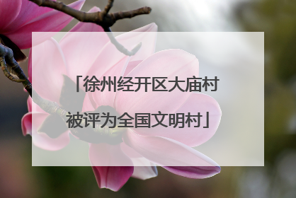徐州经开区大庙村被评为全国文明村