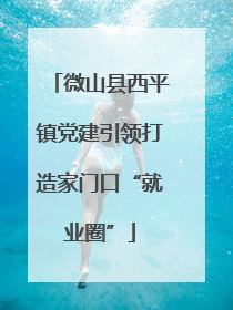 微山县西平镇党建引领打造家门口“就业圈”