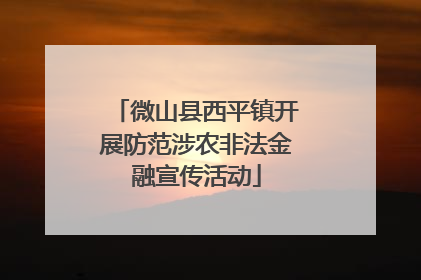 微山县西平镇开展防范涉农非法金融宣传活动