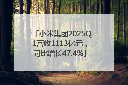 小米集团2025Q1营收1113亿元，同比增长47.4%