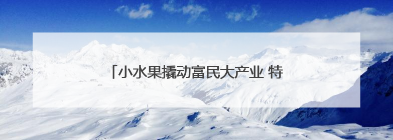 小水果撬动富民大产业 特色农业绘就乡村振兴新画卷