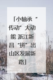 小轴承“传动”大动能 浙江新昌“拼”出山区发展新路
