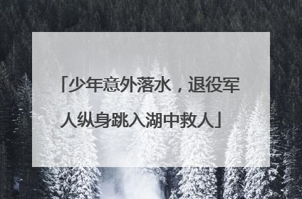 少年意外落水，退役军人纵身跳入湖中救人