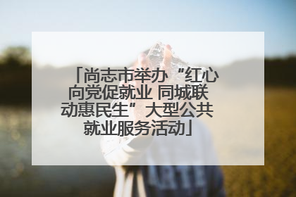 尚志市举办“红心向党促就业 同城联动惠民生”大型公共就业服务活动
