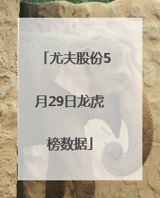 尤夫股份5月29日龙虎榜数据