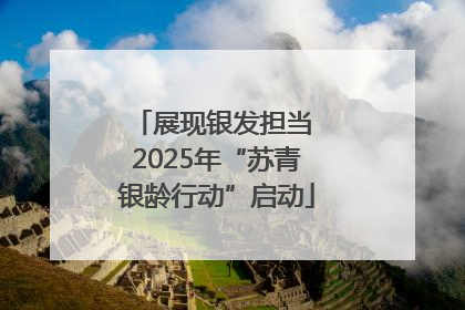 展现银发担当 2025年“苏青银龄行动”启动