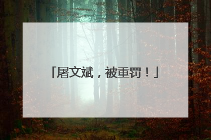 屠文斌，被重罚！