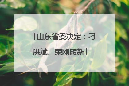 山东省委决定：刁洪斌、荣刚履新