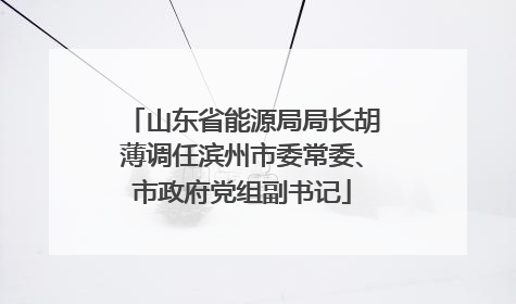 山东省能源局局长胡薄调任滨州市委常委、市政府党组副书记