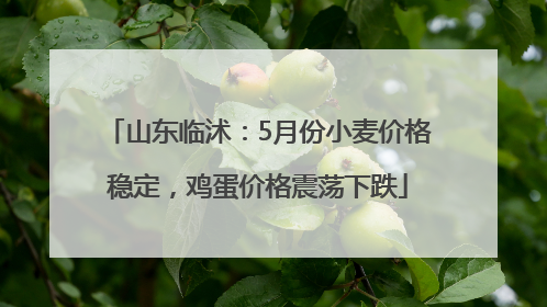 山东临沭：5月份小麦价格稳定，鸡蛋价格震荡下跌