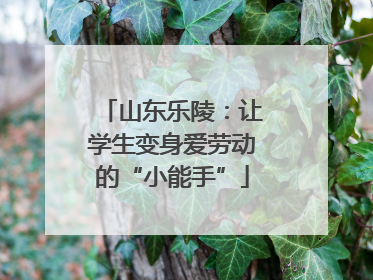 山东乐陵：让学生变身爱劳动的“小能手”